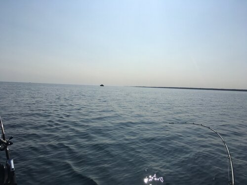 IMG_3510.JPG