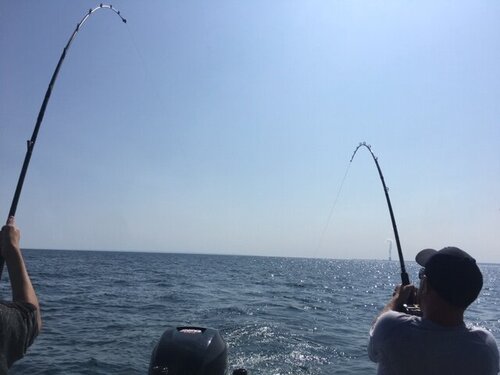 IMG_7348.JPG