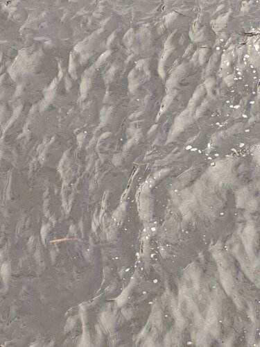 image3.thumb.jpeg.613603959021fd9f2fa19e1040889011.jpeg