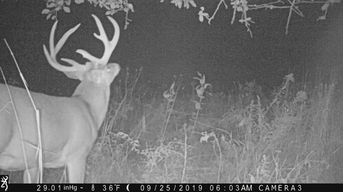 Turk 9-25-19 back.JPG