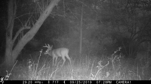 Turk 9-25-19 fromt night.JPG