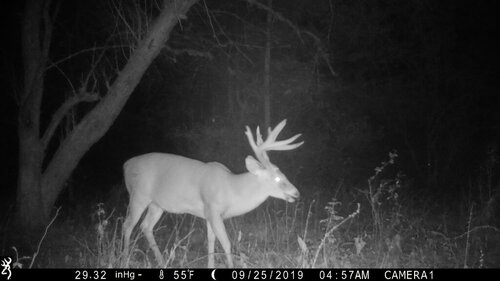 Turk 9-25-19 front side.JPG