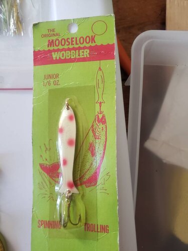 20190920_130610.jpeg
