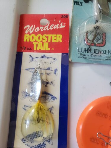 20190920_130616.jpeg