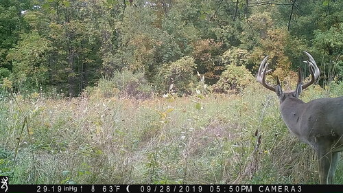 Turk 9-28-29 550 pm back.JPG