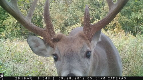 Turk 9-28-19 551 look.JPG