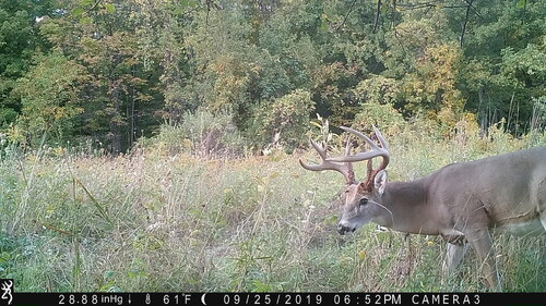 Turk 9-25-19 back 652.JPG