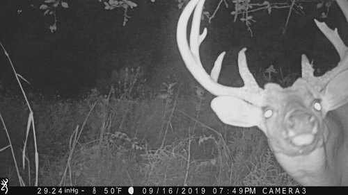 Turk 9-16-19 hello.JPG