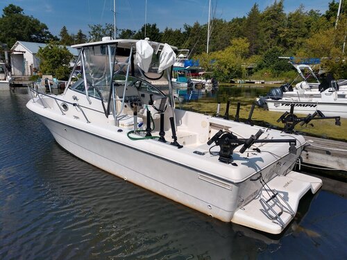 IMG_20190729_104040787_HDR[1].jpg