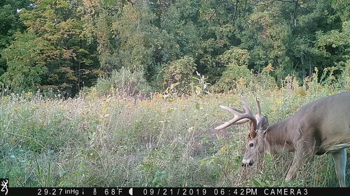 Turk 9-21-19 back.JPG