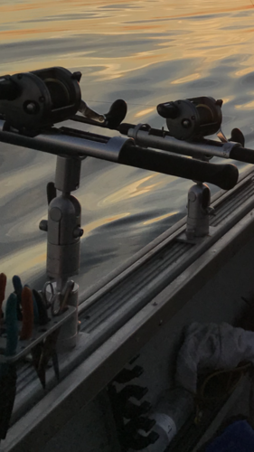 AC4BA986-4F4B-4617-B71C-BE229B1EAABE.thumb.png.43c5d2c7e9938e1e53054c752c9deb94.png