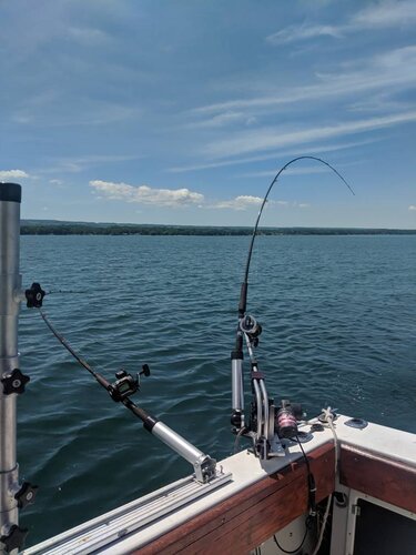 IMG_20190701_122449.jpg
