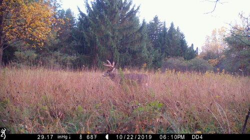 Turk 10-22-19 610pm.JPG