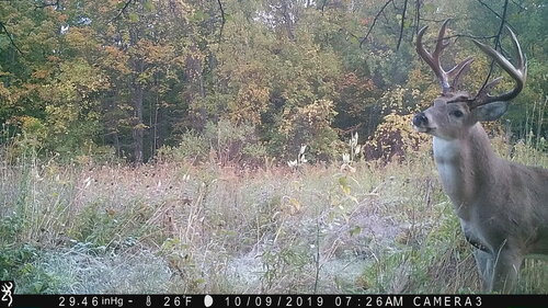 Turk 10-9-19 725am.JPG
