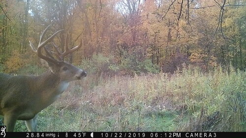 Turk 10-22-19 612pm.JPG