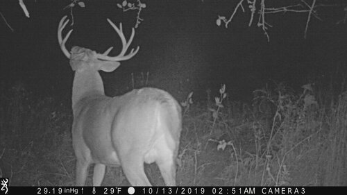 big buck mendon 10-13-19 251 am rear.JPG