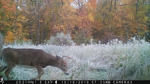 3rd buck 10-19-19 me.JPG