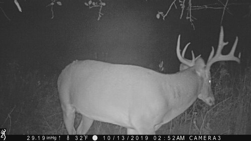 Big Buck Mendon 10-13-2019 252am.JPG