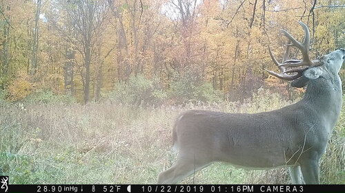Turk 10-22-19 116 pm 2.JPG