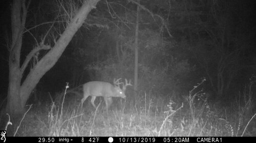 Turk 10-13-19 front 520am.JPG