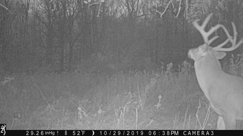 Turk 10-29-19 638pm.JPG