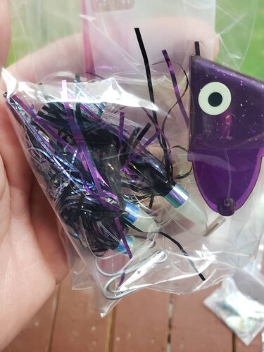 20191016_140951.jpeg