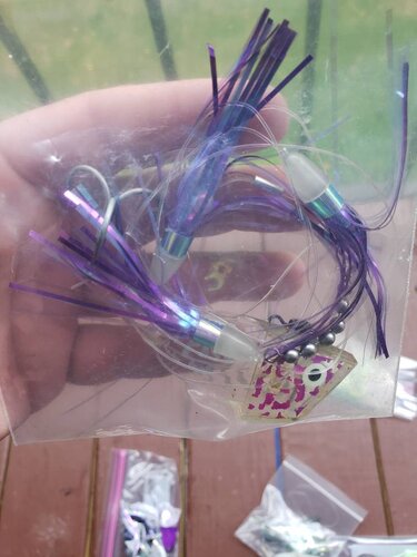 20191016_141002.jpeg