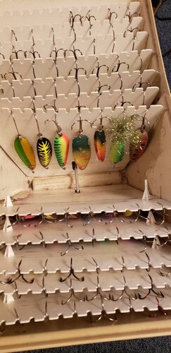 20191029_174221.jpeg