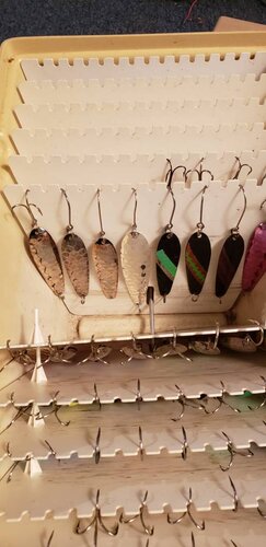 20191029_174301.jpeg