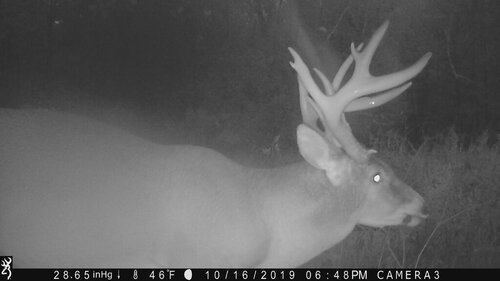 Turk 10-16-19 648pm side wet.JPG