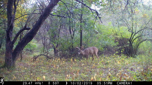 mendon 10-2-19 passed.JPG