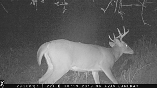 Buck 10-19-19 642 me.JPG