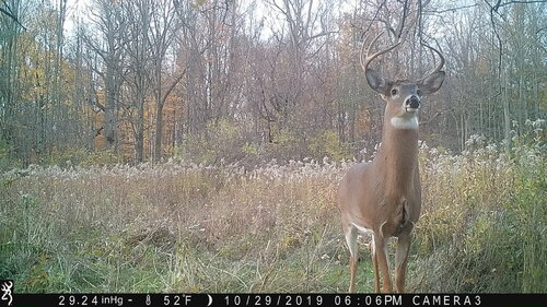 high 8pt mendon 10-29-19 606pm.JPG