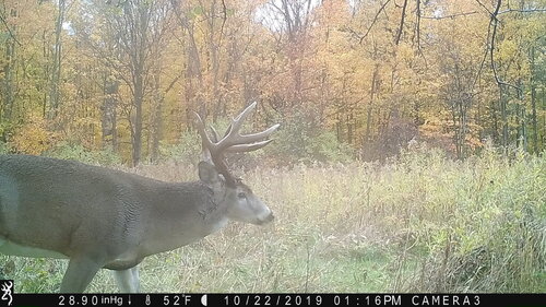 Turk 10-22-19 116pm.JPG