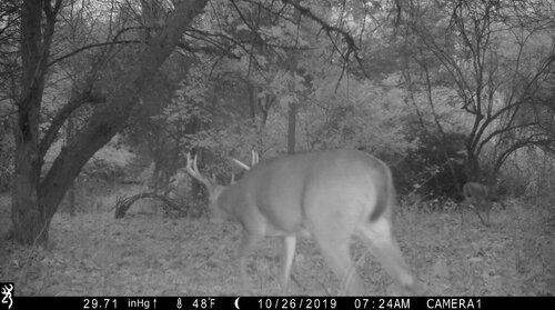 8 pt 10-16-19.jpg