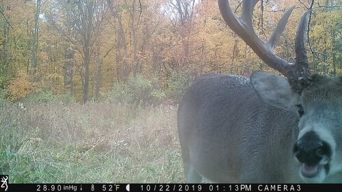 Turk 10-22-19 113pm.JPG