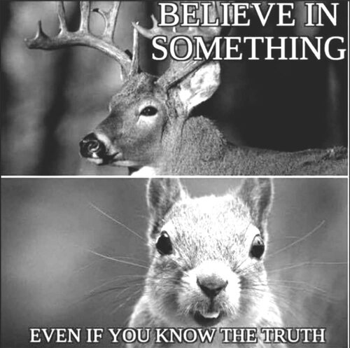FB_IMG_1571172792091.jpeg