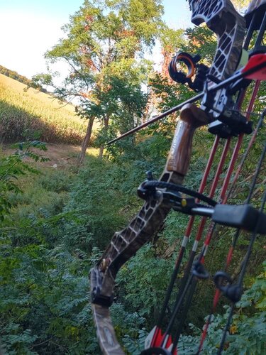 IMG_20191011_163532607_HDR.jpeg