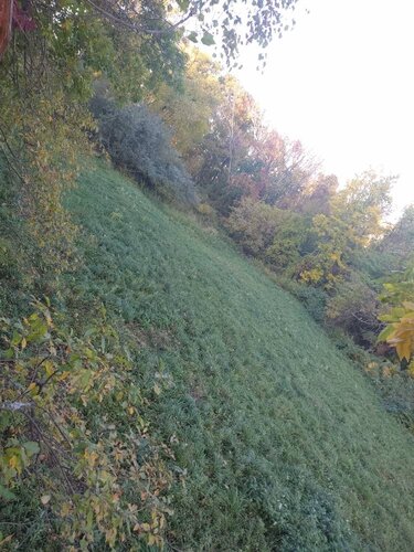 IMG_20191020_174447465.jpeg