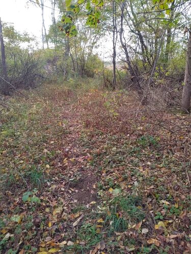 IMG_20191024_162542322_HDR.thumb.jpeg.db2ed37e562f3df9c0ddd61985658eaa.jpeg