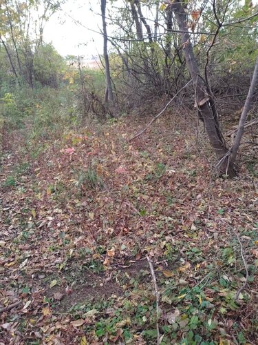 IMG_20191024_162557277.thumb.jpeg.c20c5a44f55f5f4ff8092d6dd67d1674.jpeg