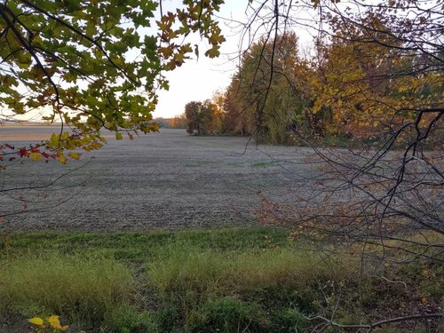 IMG_20191028_174007133_HDR.jpeg
