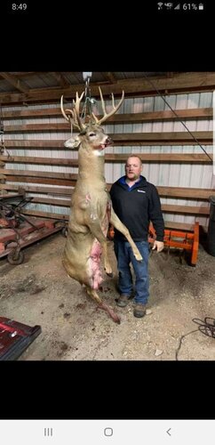 deer1.jpg