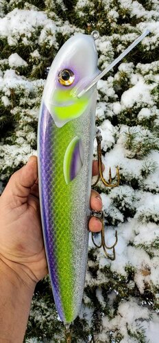 20191112_121138.jpeg