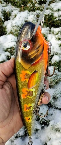 20191112_121431.jpeg