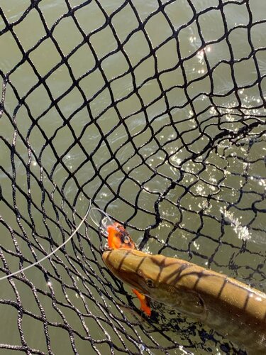 4DC3E272-.jpeg