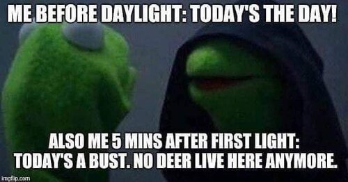 FB_IMG_1574641179622.jpeg
