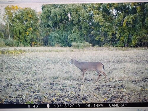 IMG_20191101_180517508.jpeg