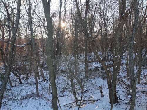 IMG_20191117_082054061.jpeg