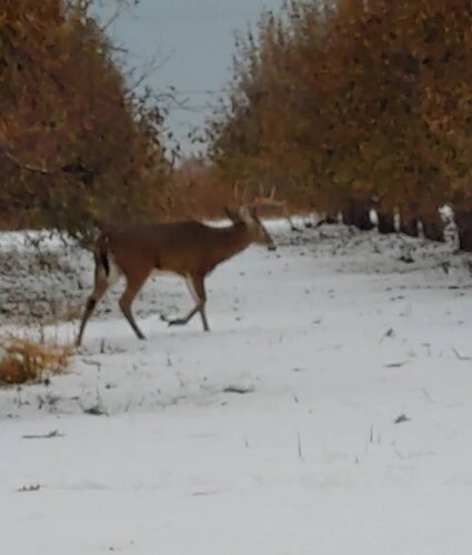 1204191557b_HDR.jpeg